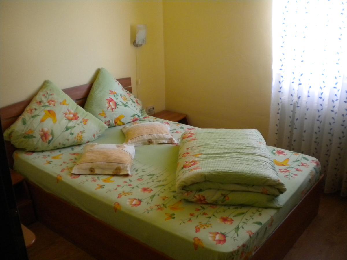 Motel Dalia Gilău エクステリア 写真
